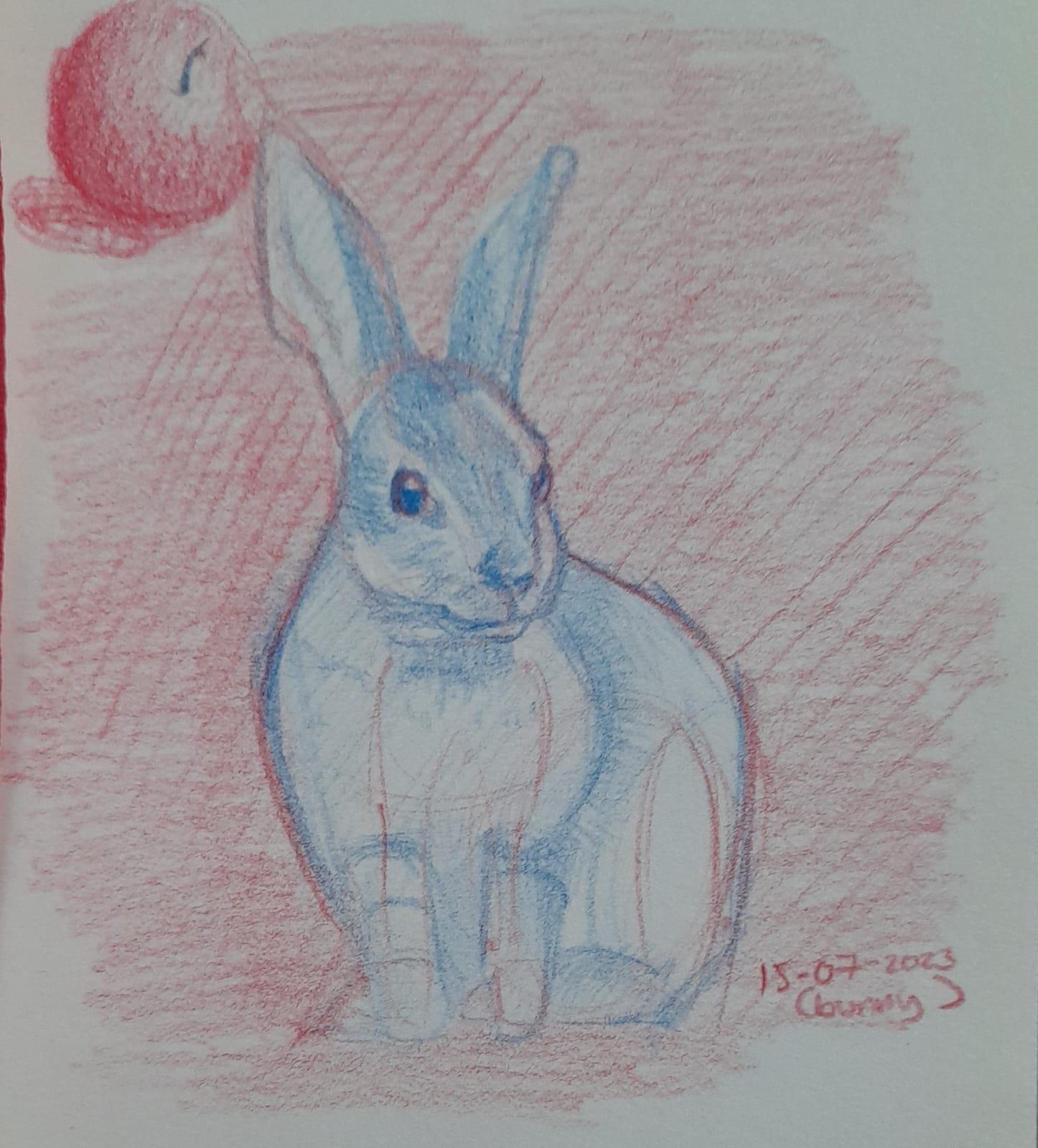 Animals - image 1 - student project