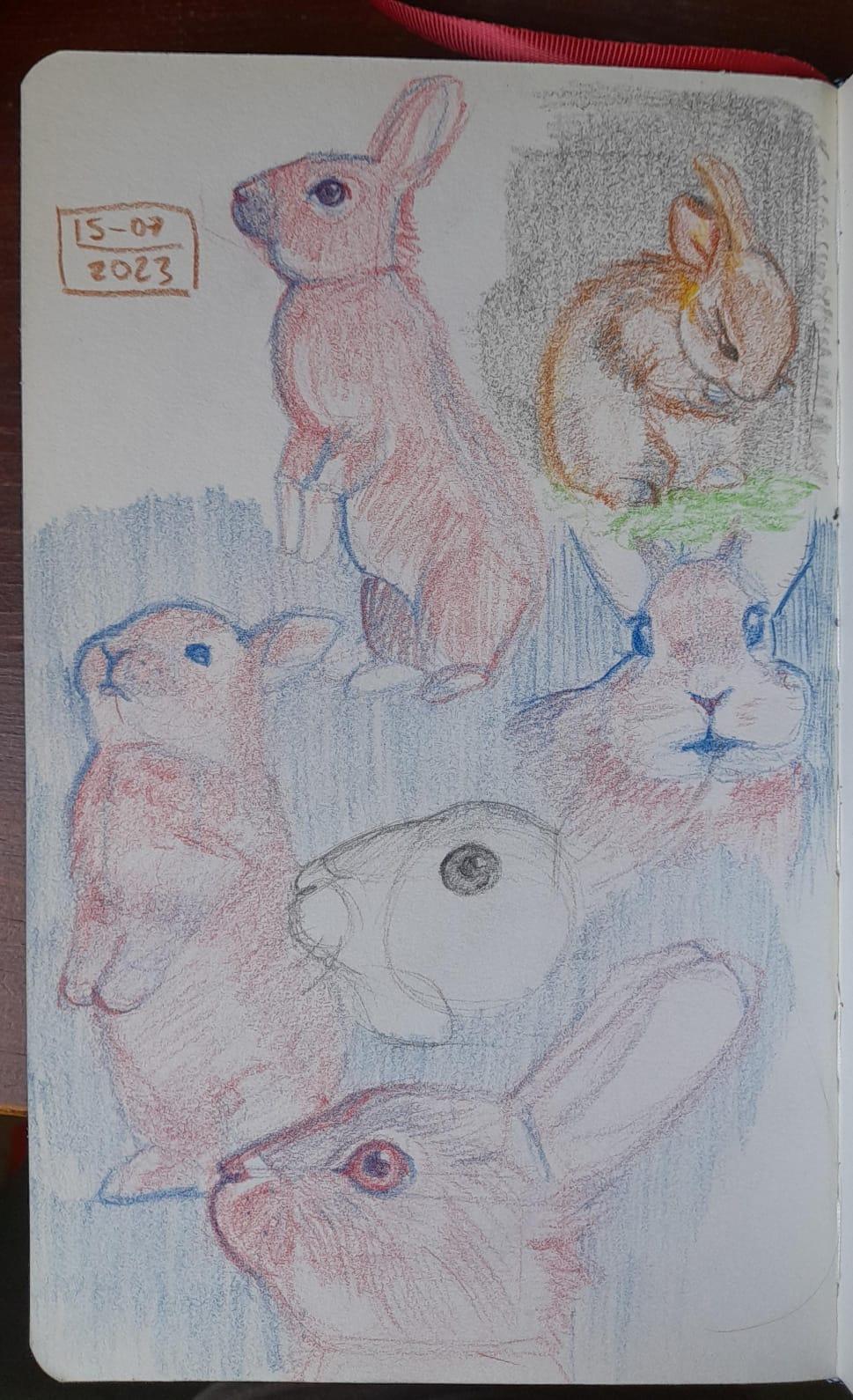 Animals - image 2 - student project