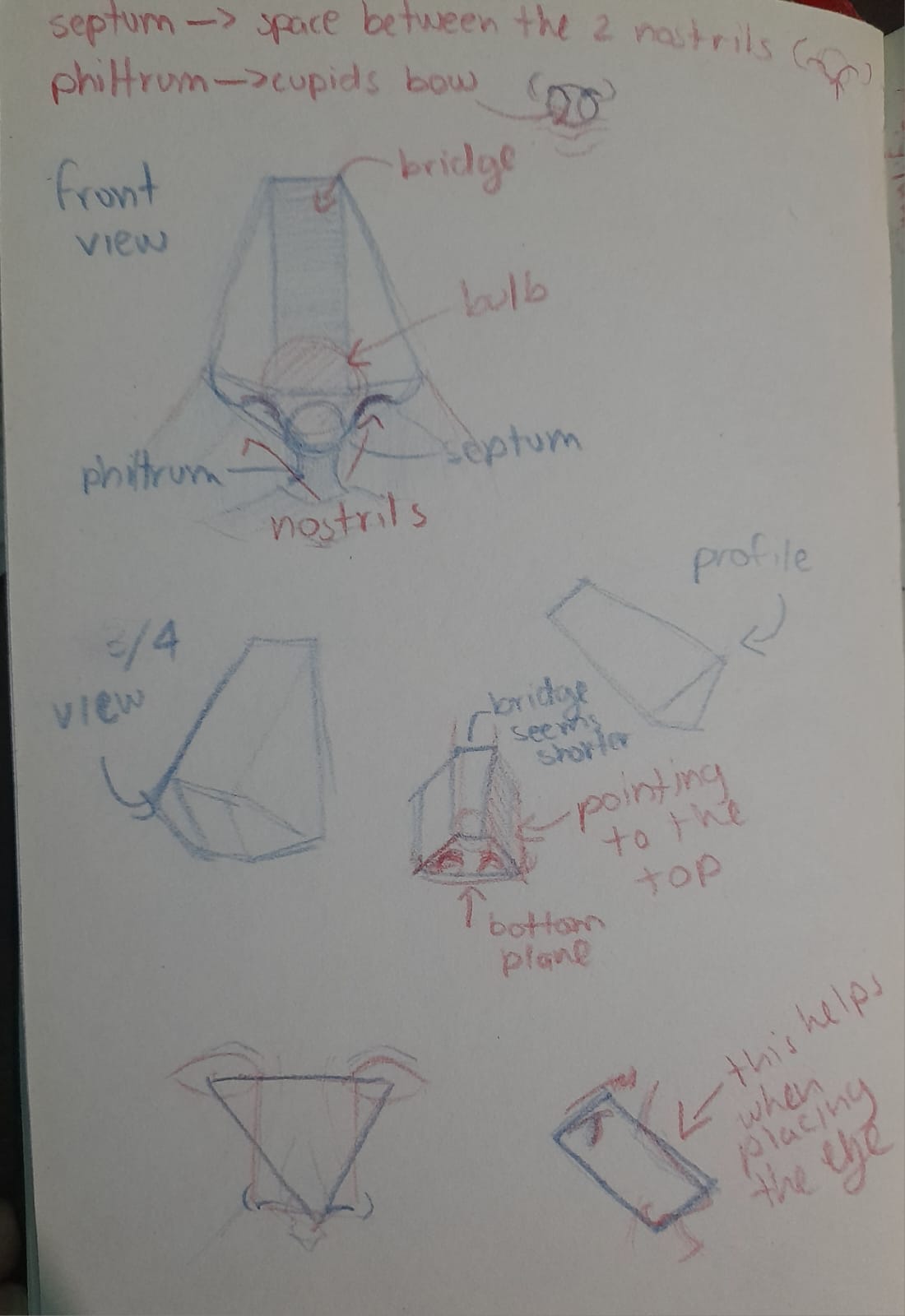 Final Project - image 1 - student project