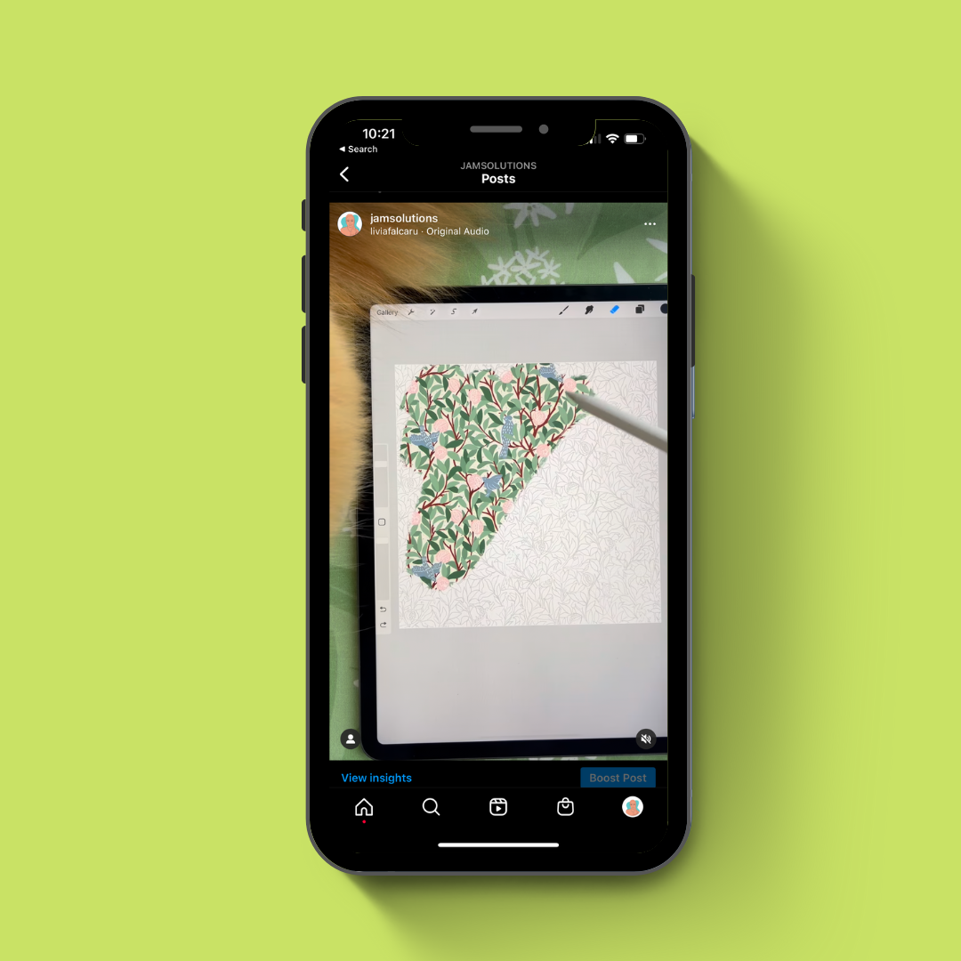Fun videos for Instagram - image 3 - student project