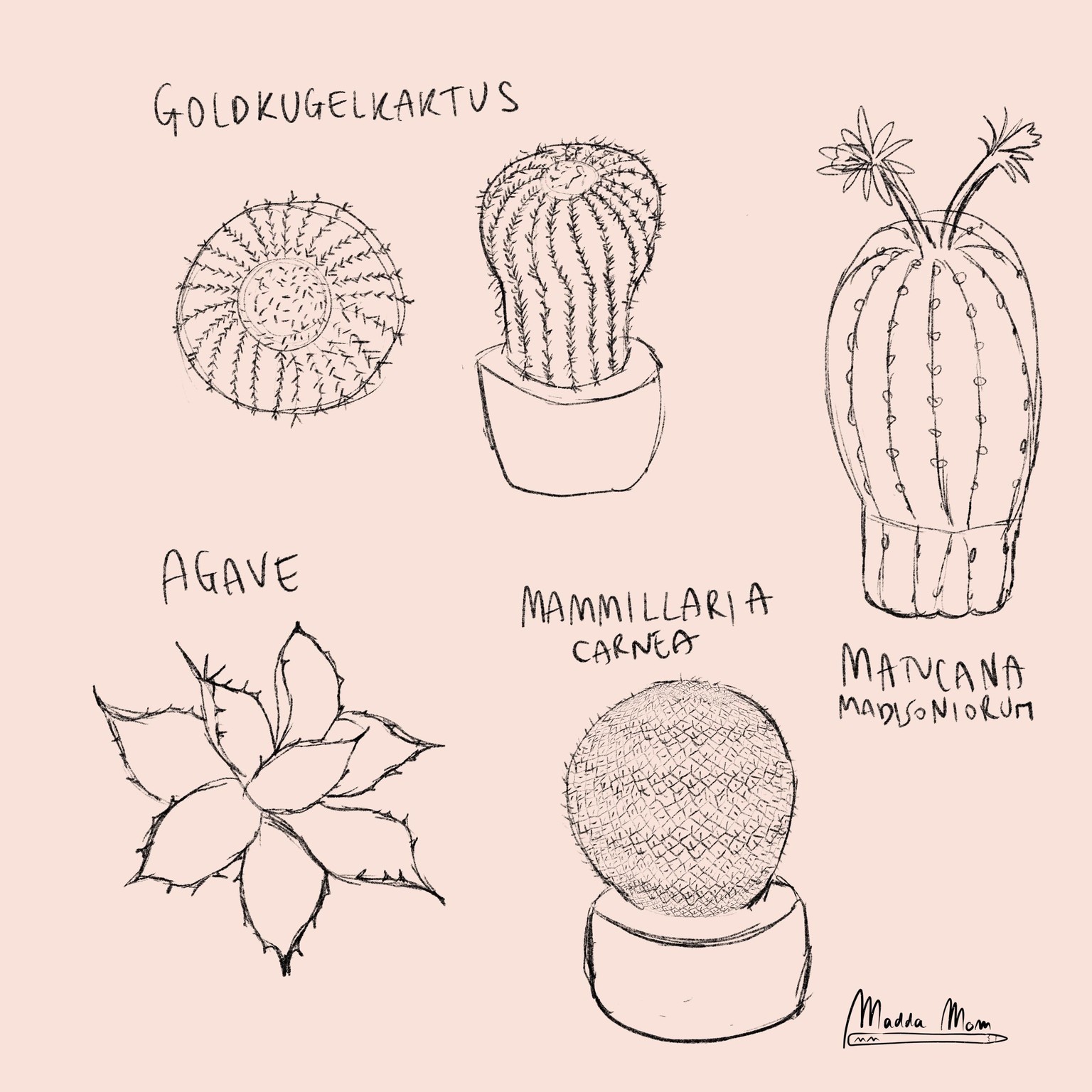 Illustrate Plants - my work on progress - image 3 - student project