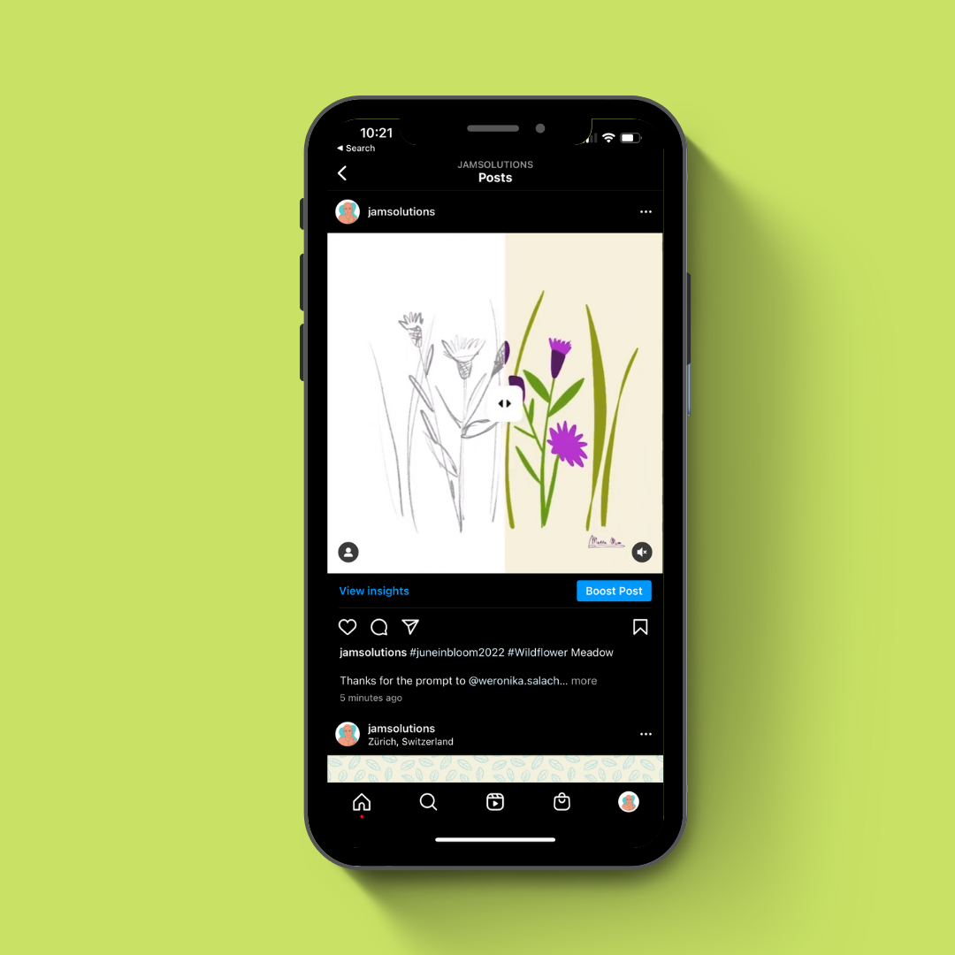 Fun videos for Instagram - image 1 - student project