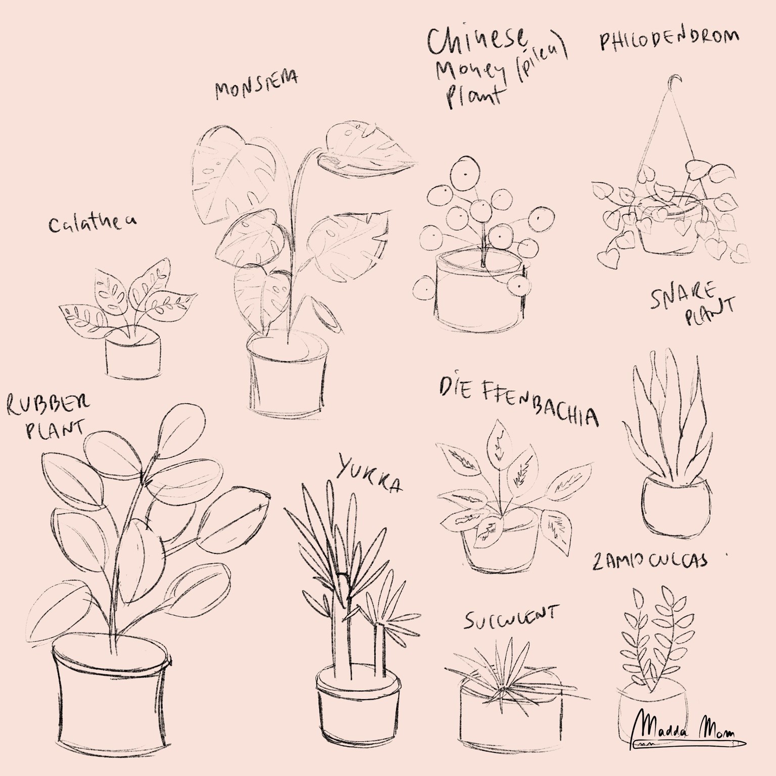 Illustrate Plants - my work on progress - image 4 - student project