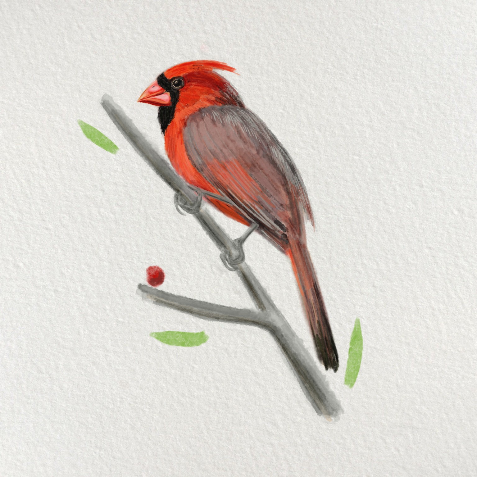Red Cardinal Watercolour - image 1 - student project