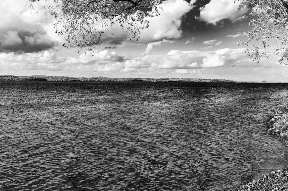 Black & White - Photoshop - image 2 - student project