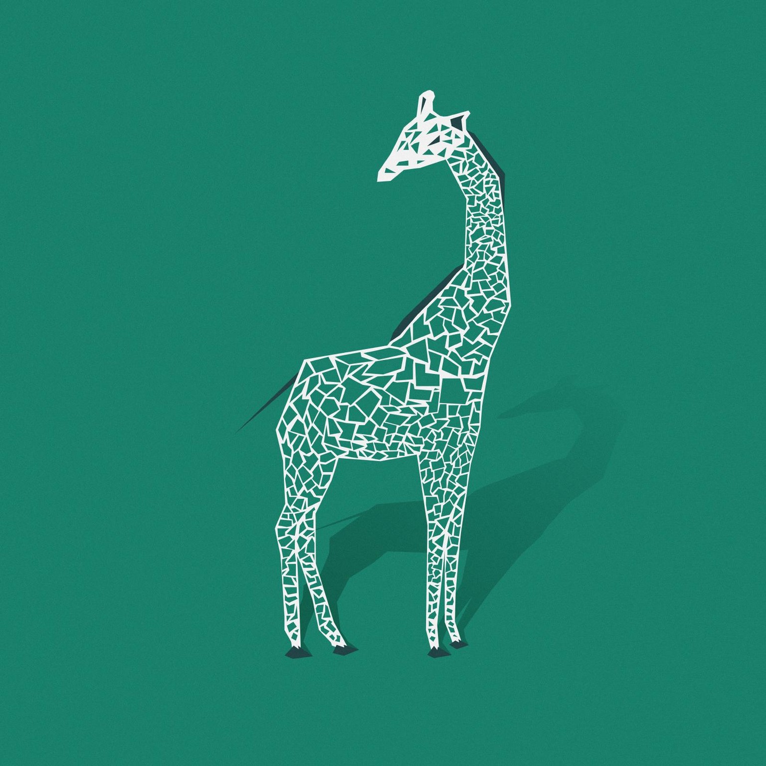 Animal Kingdom - image 1 - student project