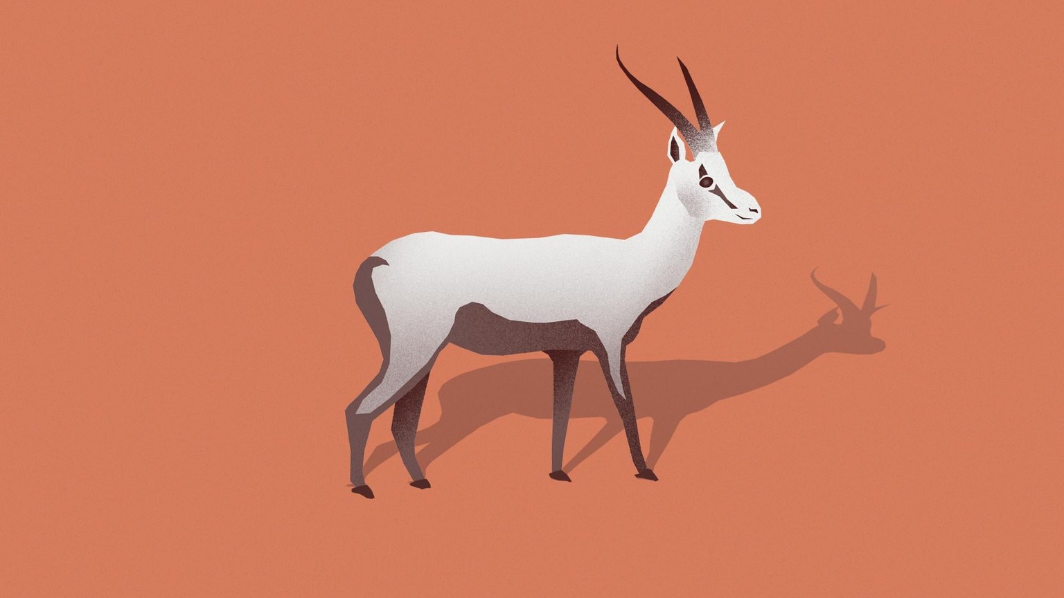 Animal Kingdom - image 3 - student project
