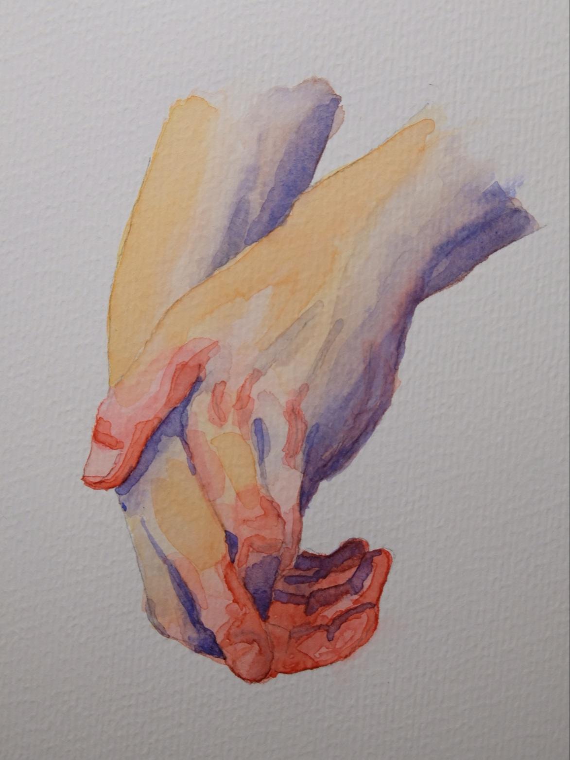 Hands in watercolor - image 1 - student project