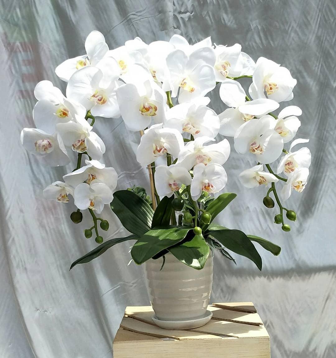 Elrose_Flower Arrangement - image 1 - student project