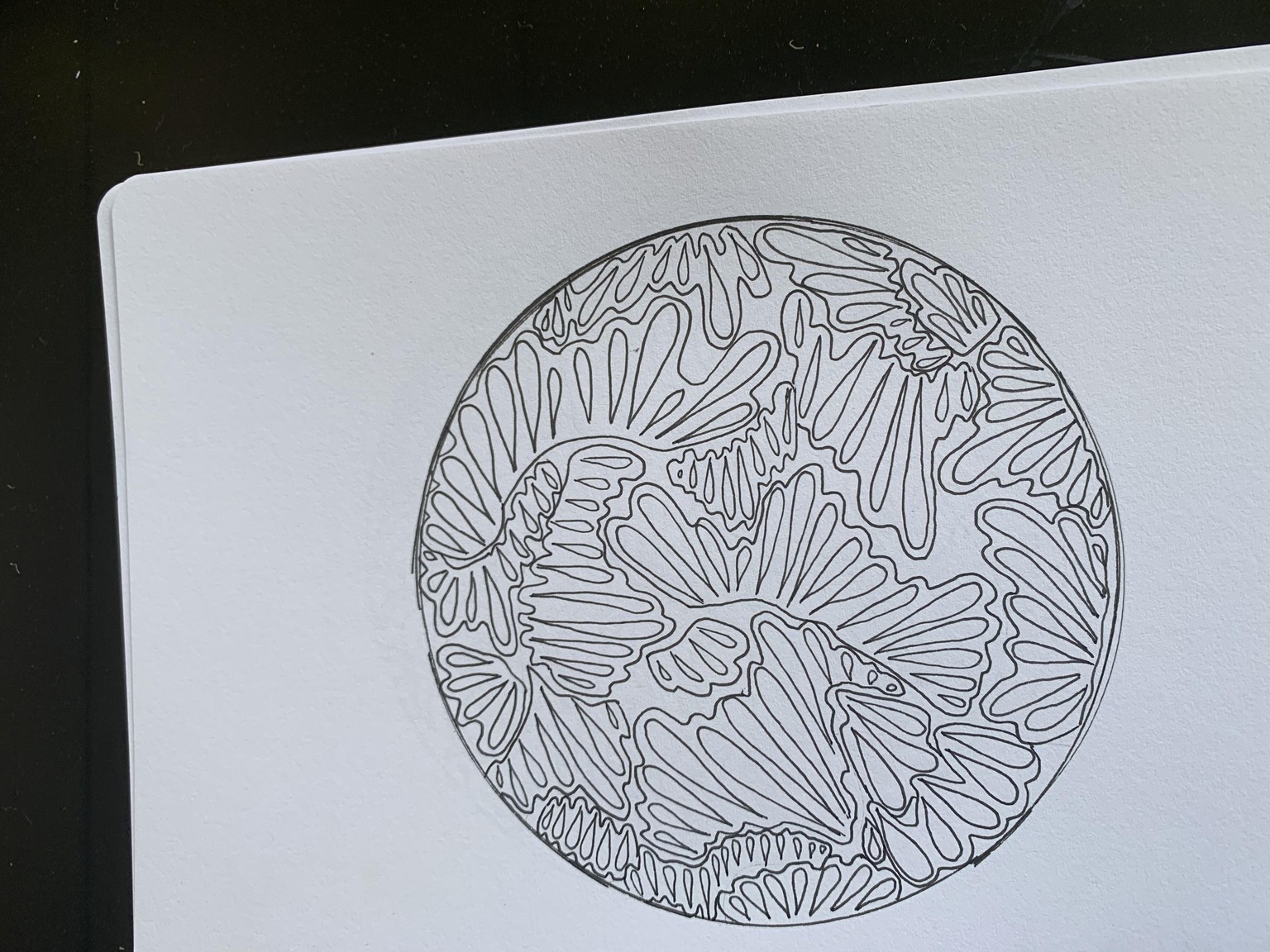 Creative Patterns - image 2 - student project
