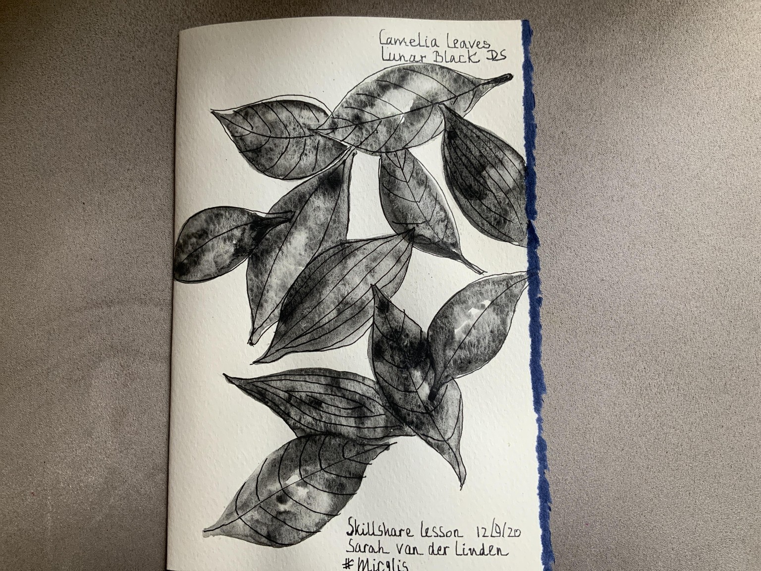 Leaves with watercolor and ink - image 1 - student project