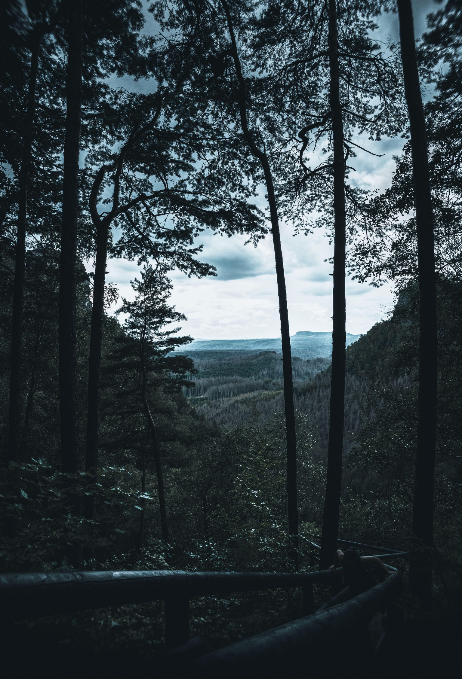 Hike Path - image 5 - student project