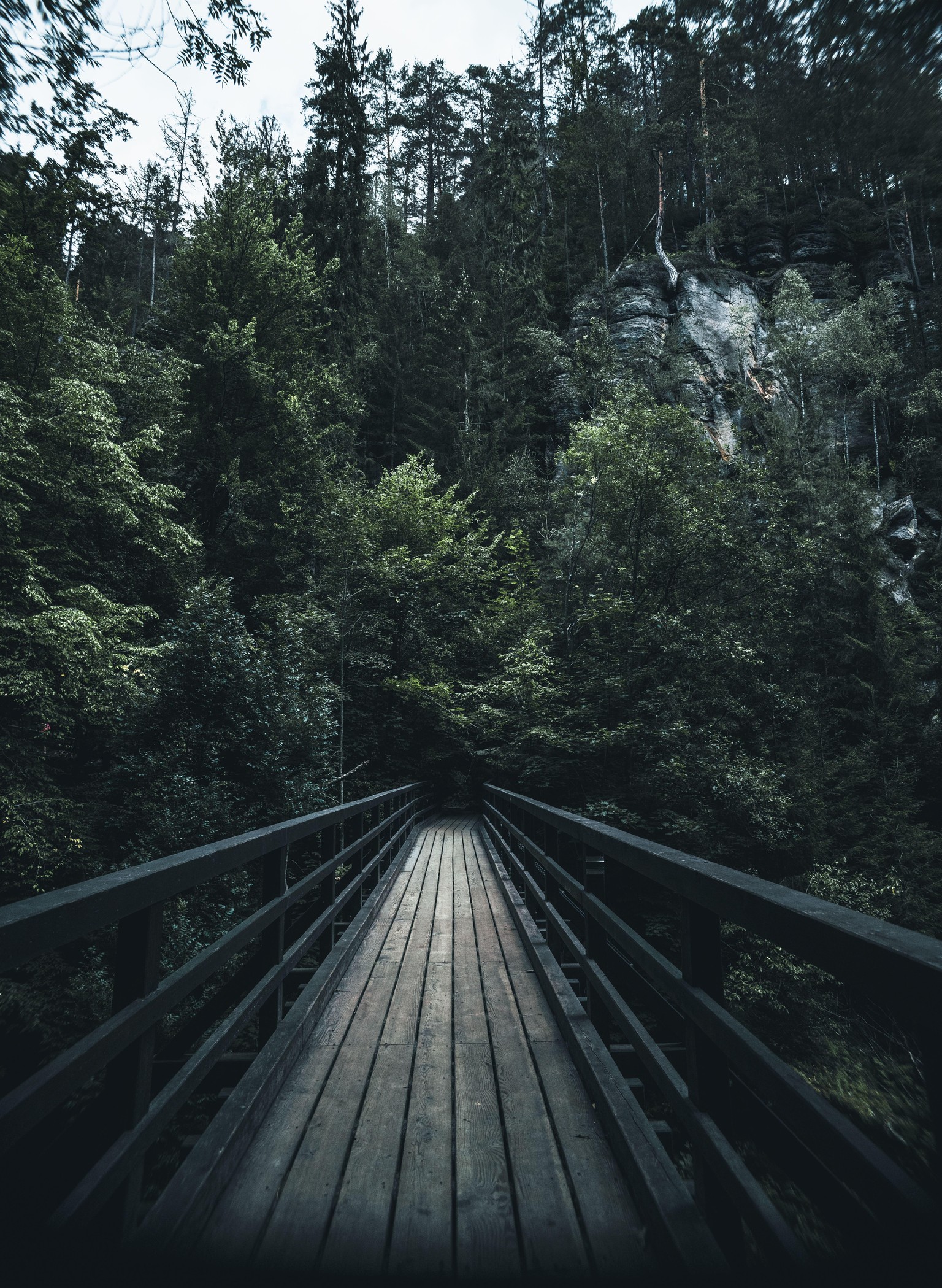 Hike Path - image 1 - student project