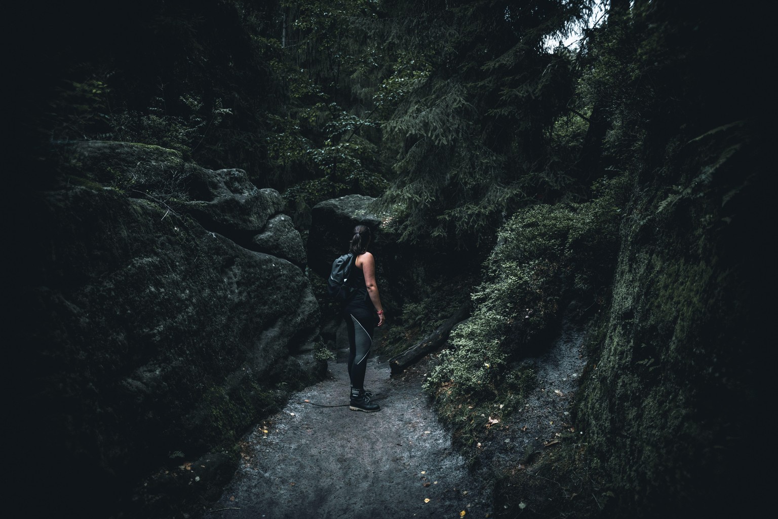 Hike Path - image 3 - student project