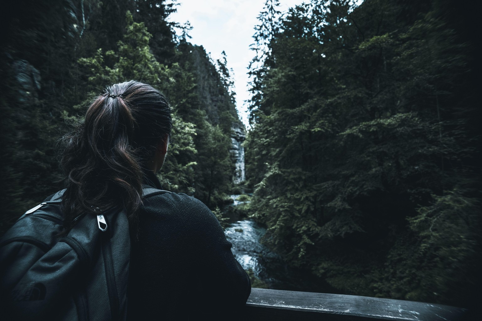 Hike Path - image 2 - student project
