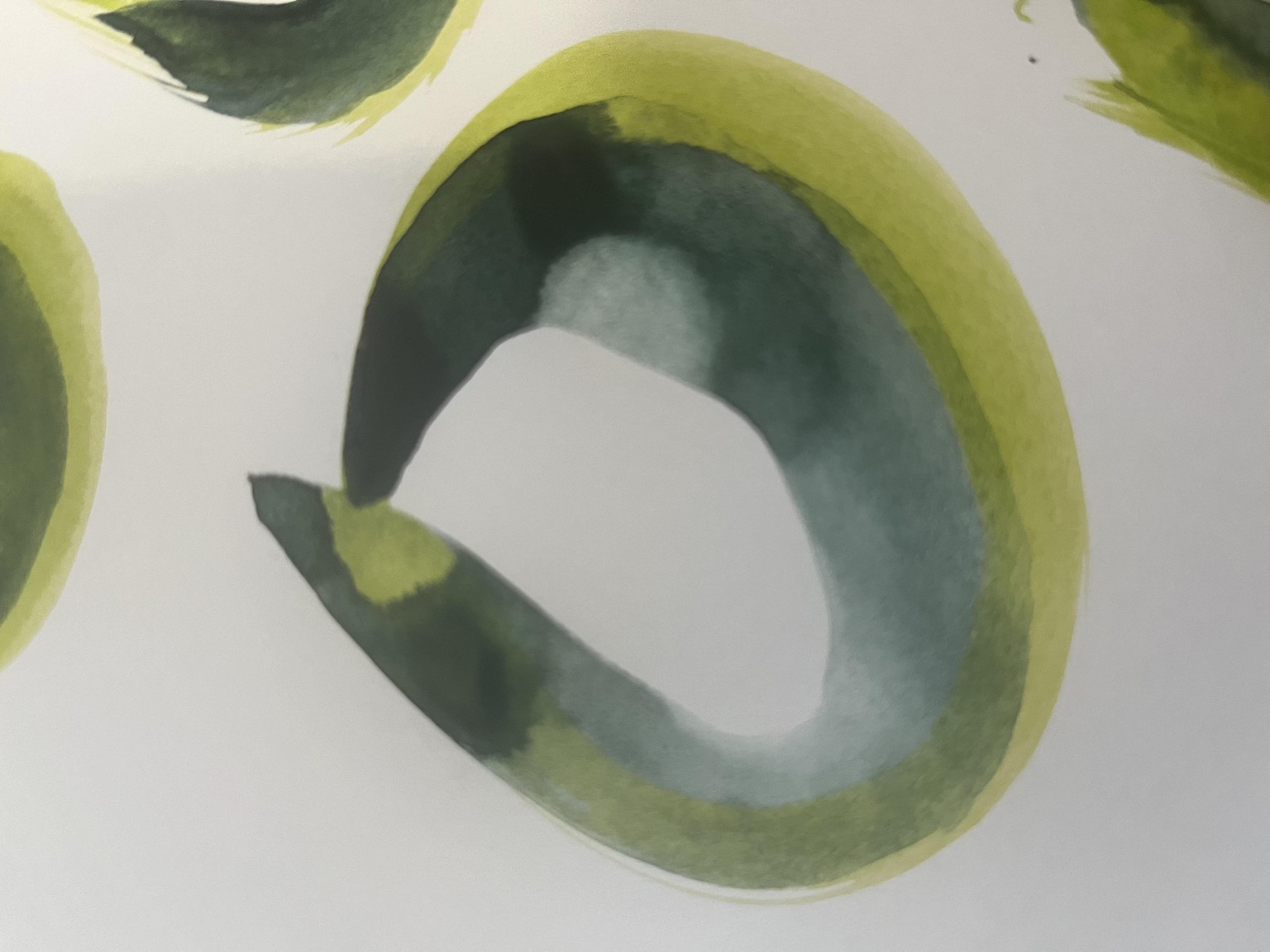 Enso - image 1 - student project
