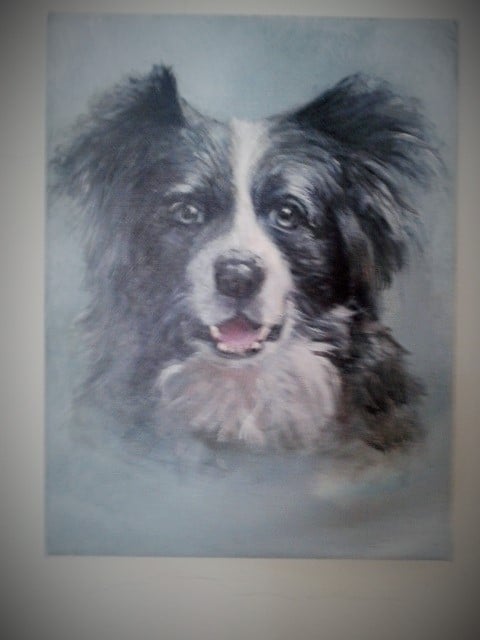 Pet Portrait - image 1 - student project