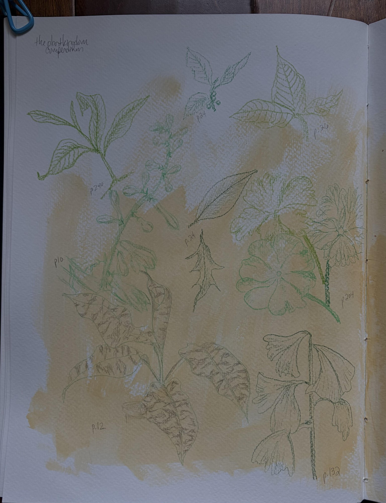 a plethora of ideas for my sketchbook - image 1 - student project