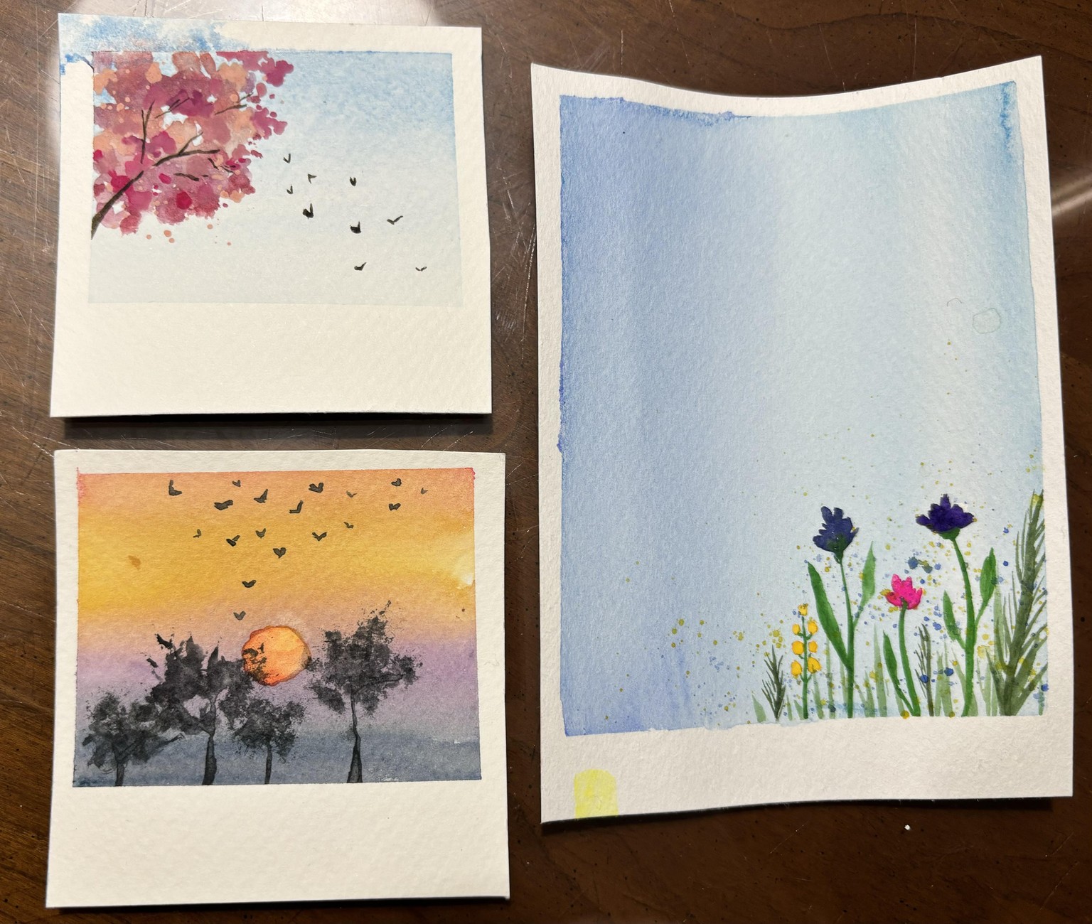 Spring Polaroids - image 1 - student project