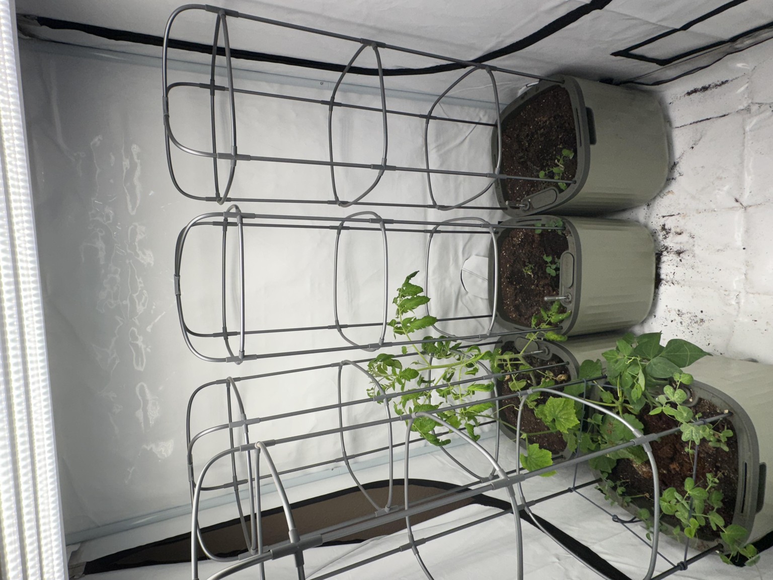 Indoor Garden - image 1 - student project