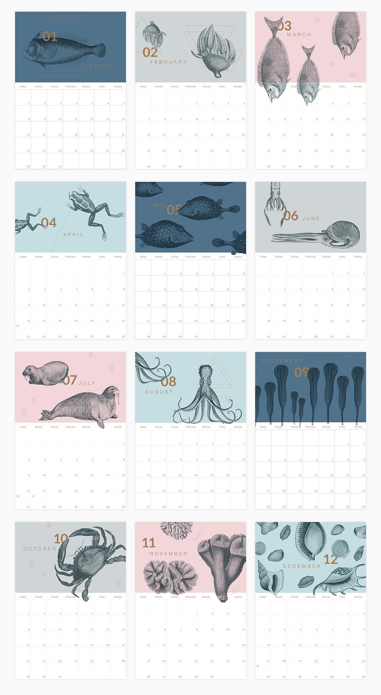 2017 Calendar - image 1 - student project
