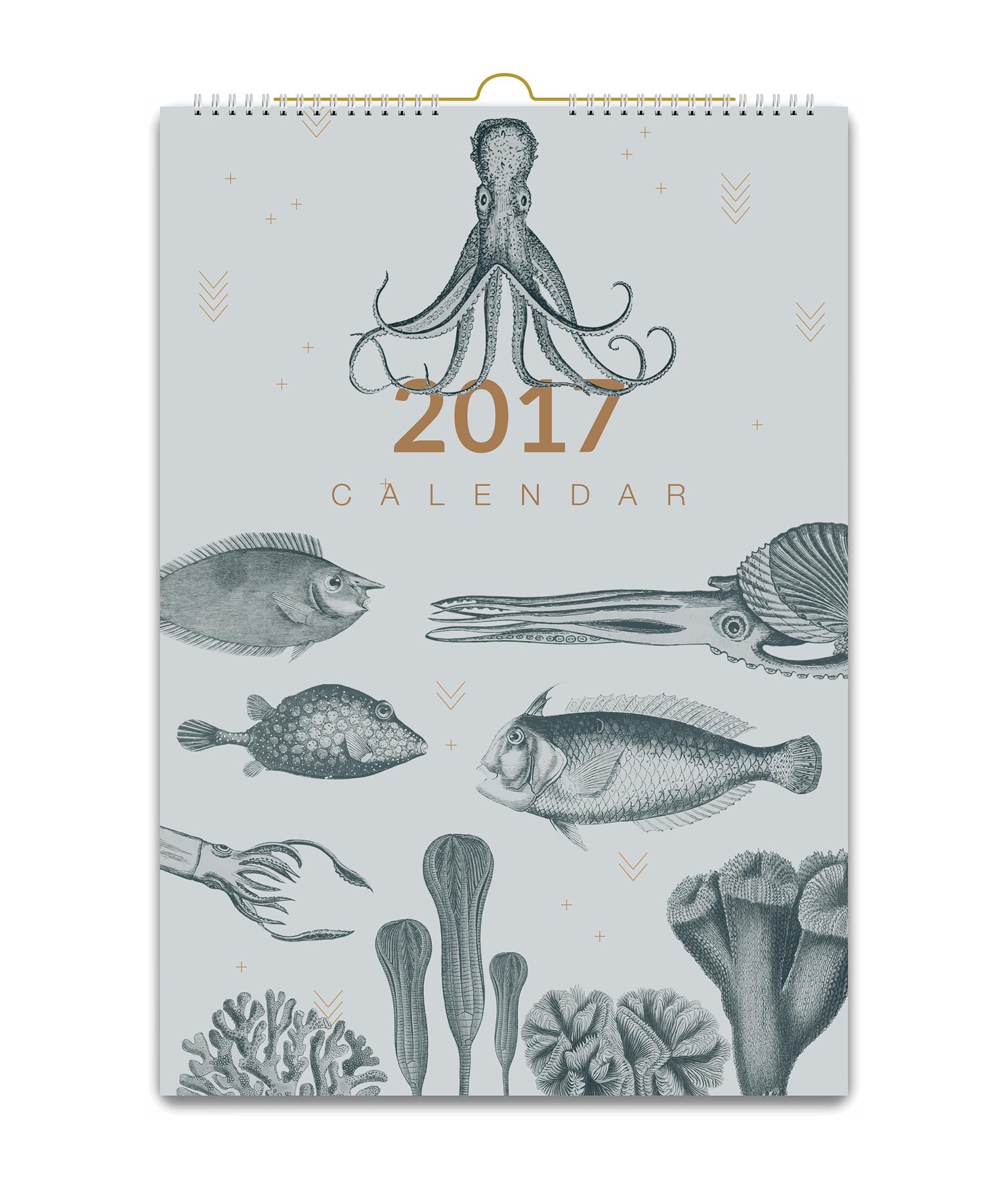 2017 Calendar - image 2 - student project
