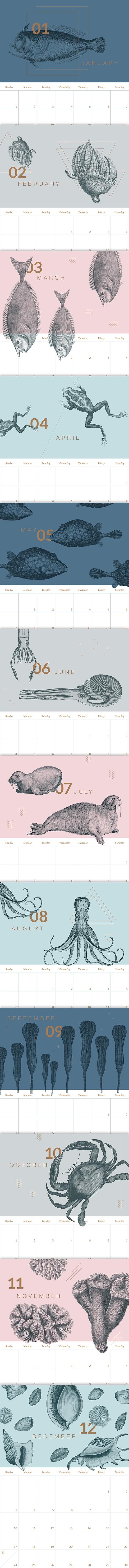 2017 Calendar - image 3 - student project
