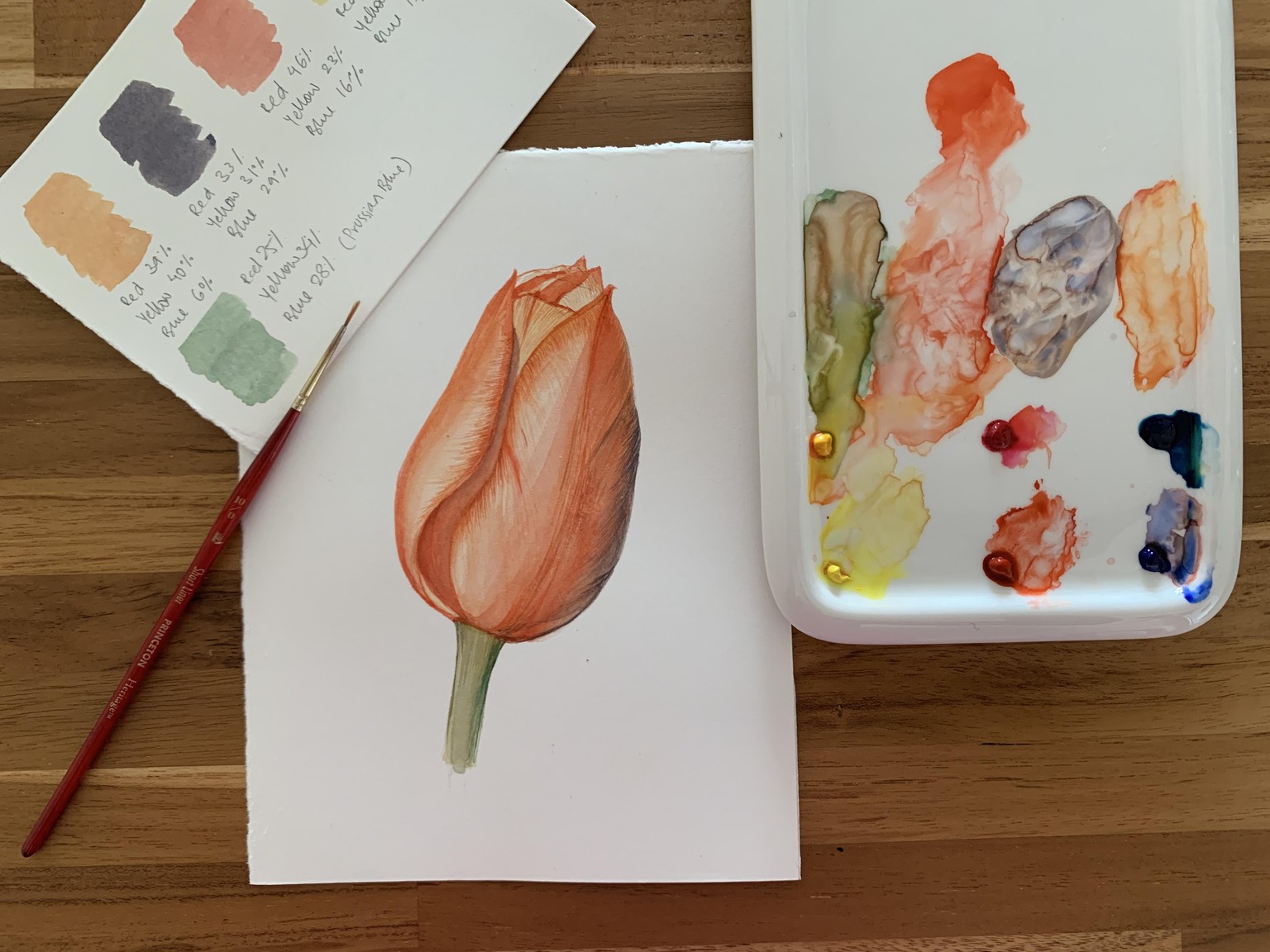 Watercolor Tulip - image 1 - student project