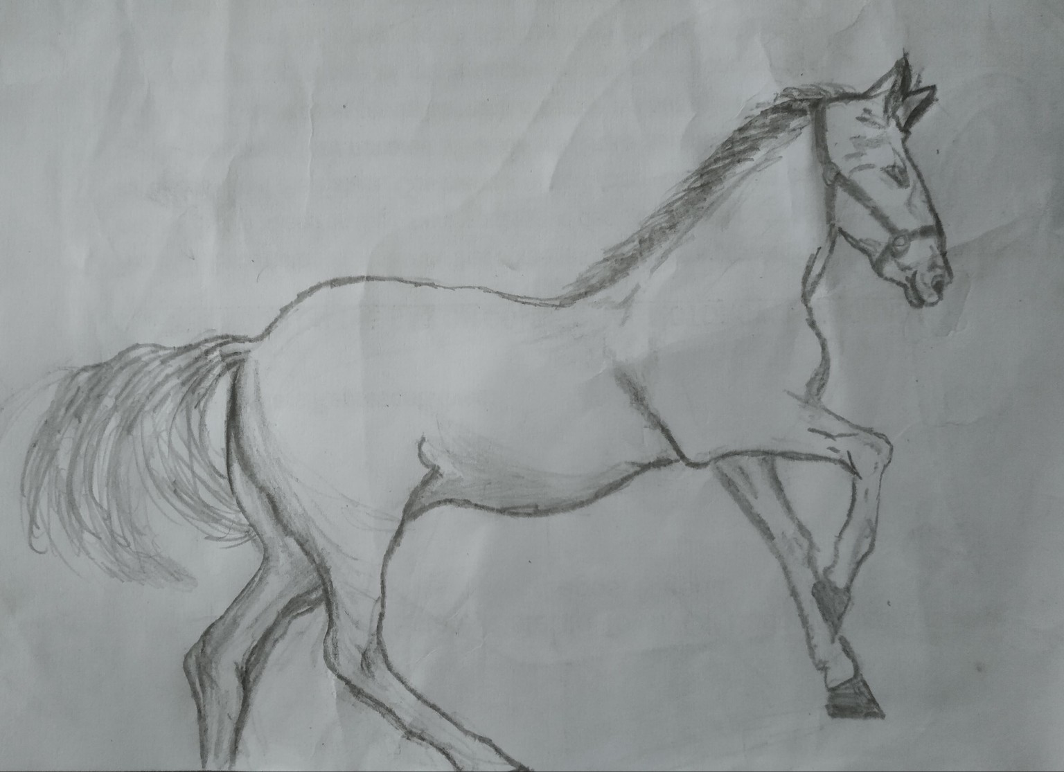 Upside Down Drawing - image 2 - student project