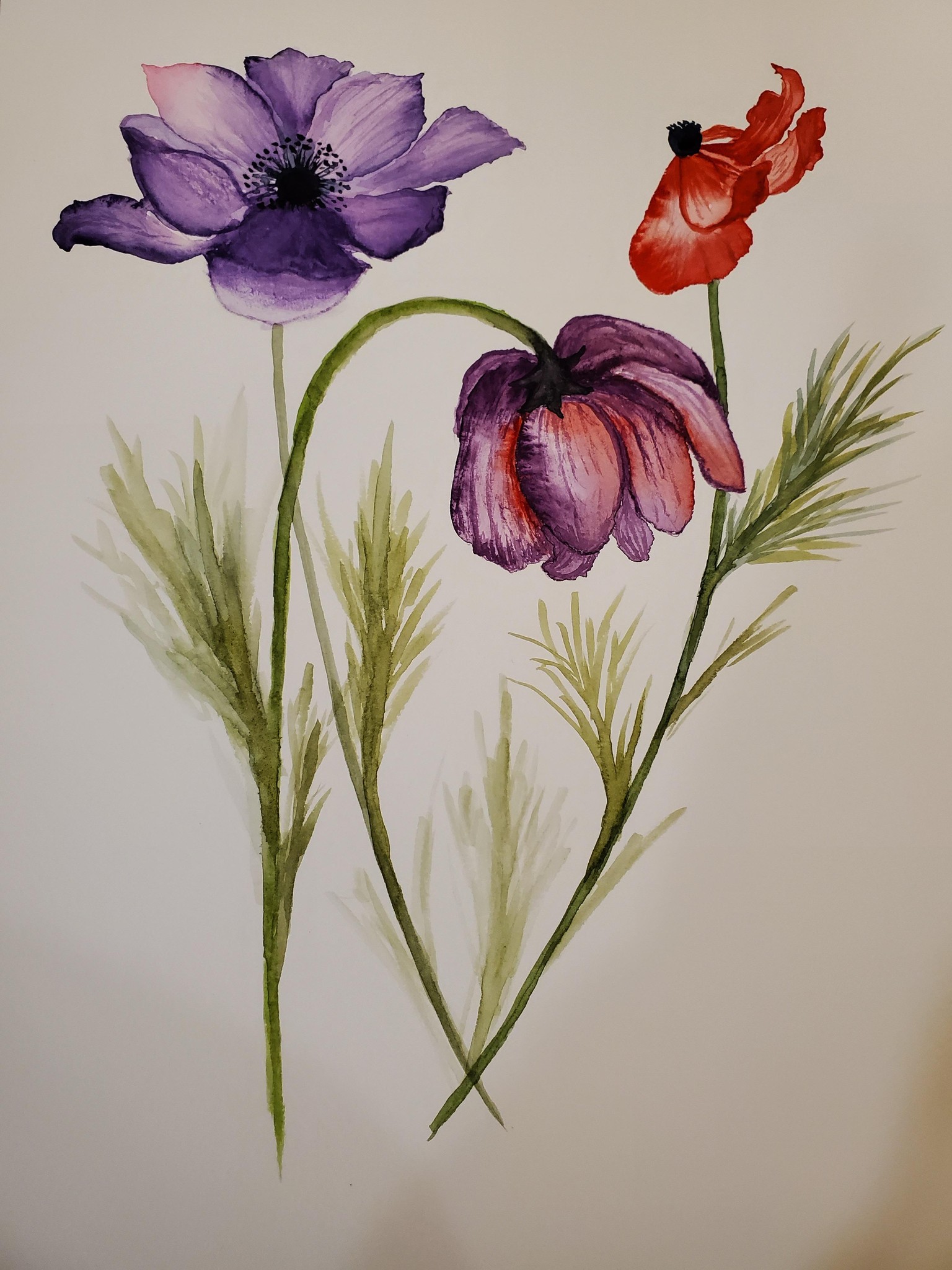 Anemones - image 1 - student project
