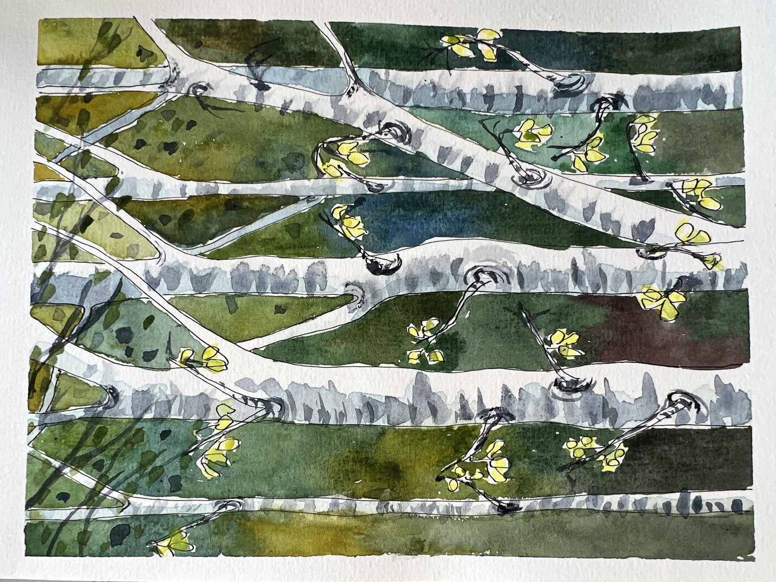 Birch Trees - image 1 - student project