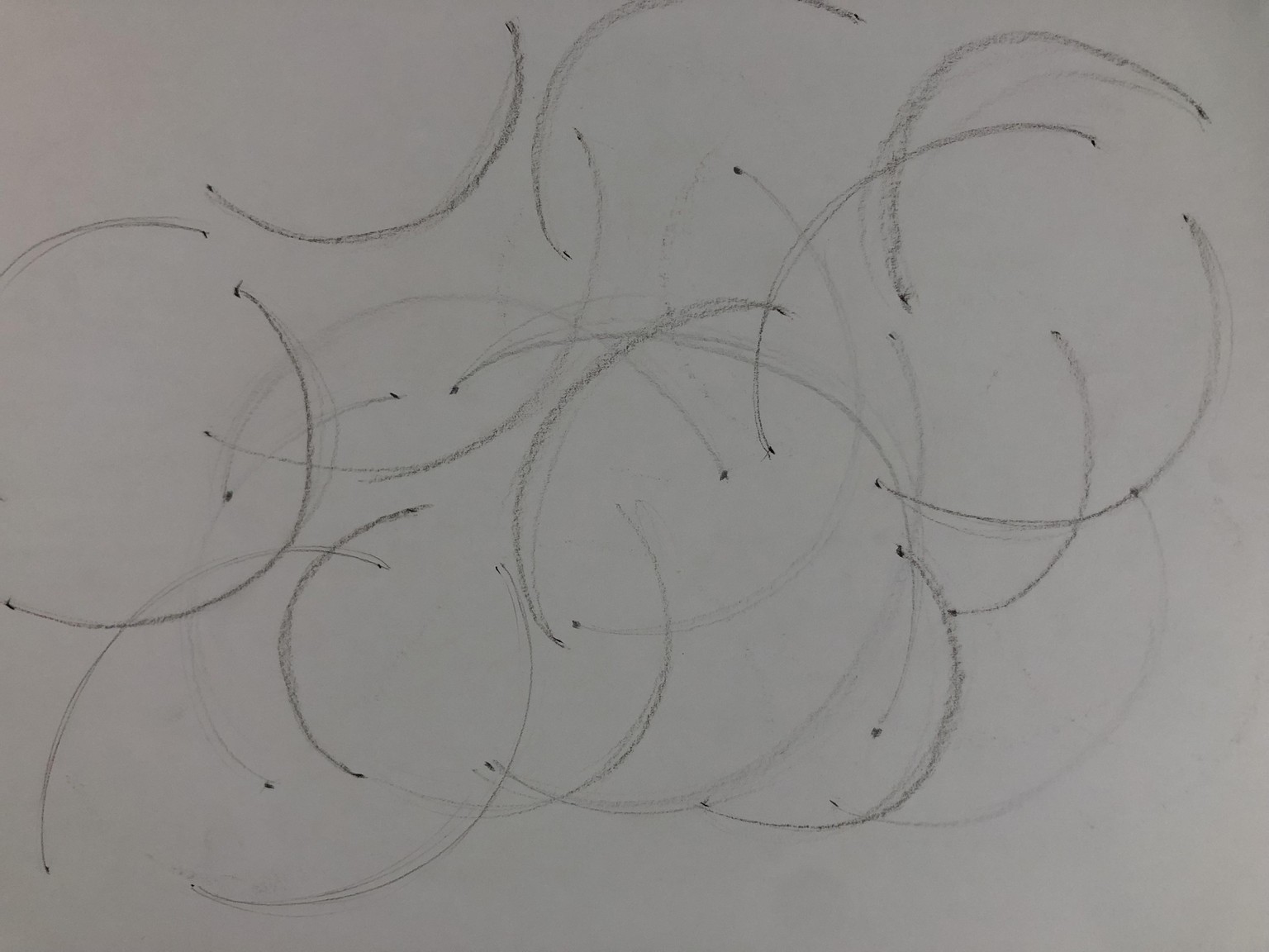 Drawing Fundamentals 1: Basic Illustration Skills & Sketching Accurately - image 24 - student project