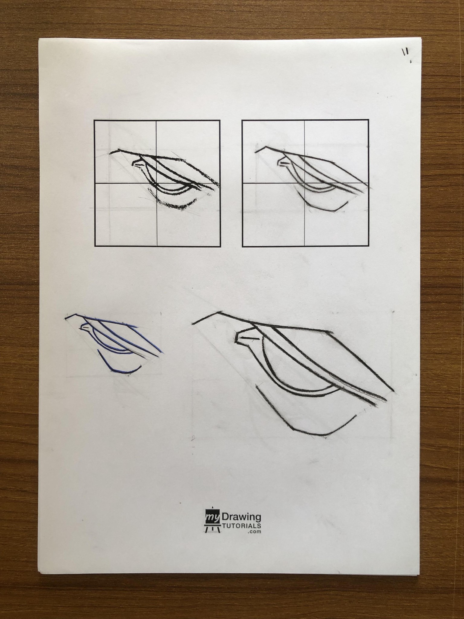 Drawing Fundamentals 1: Basic Illustration Skills & Sketching Accurately - image 45 - student project