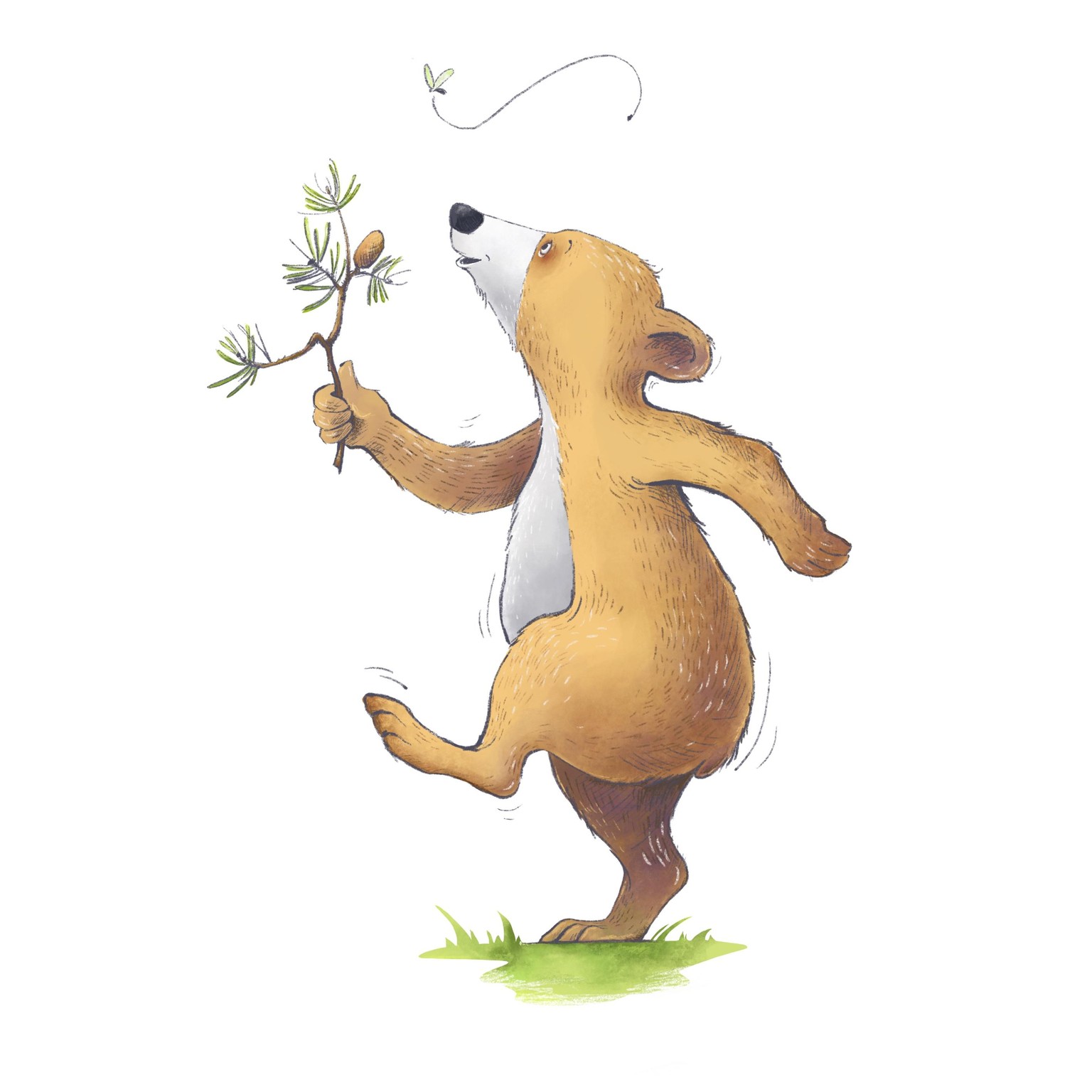 Bear Illustration - image 1 - student project