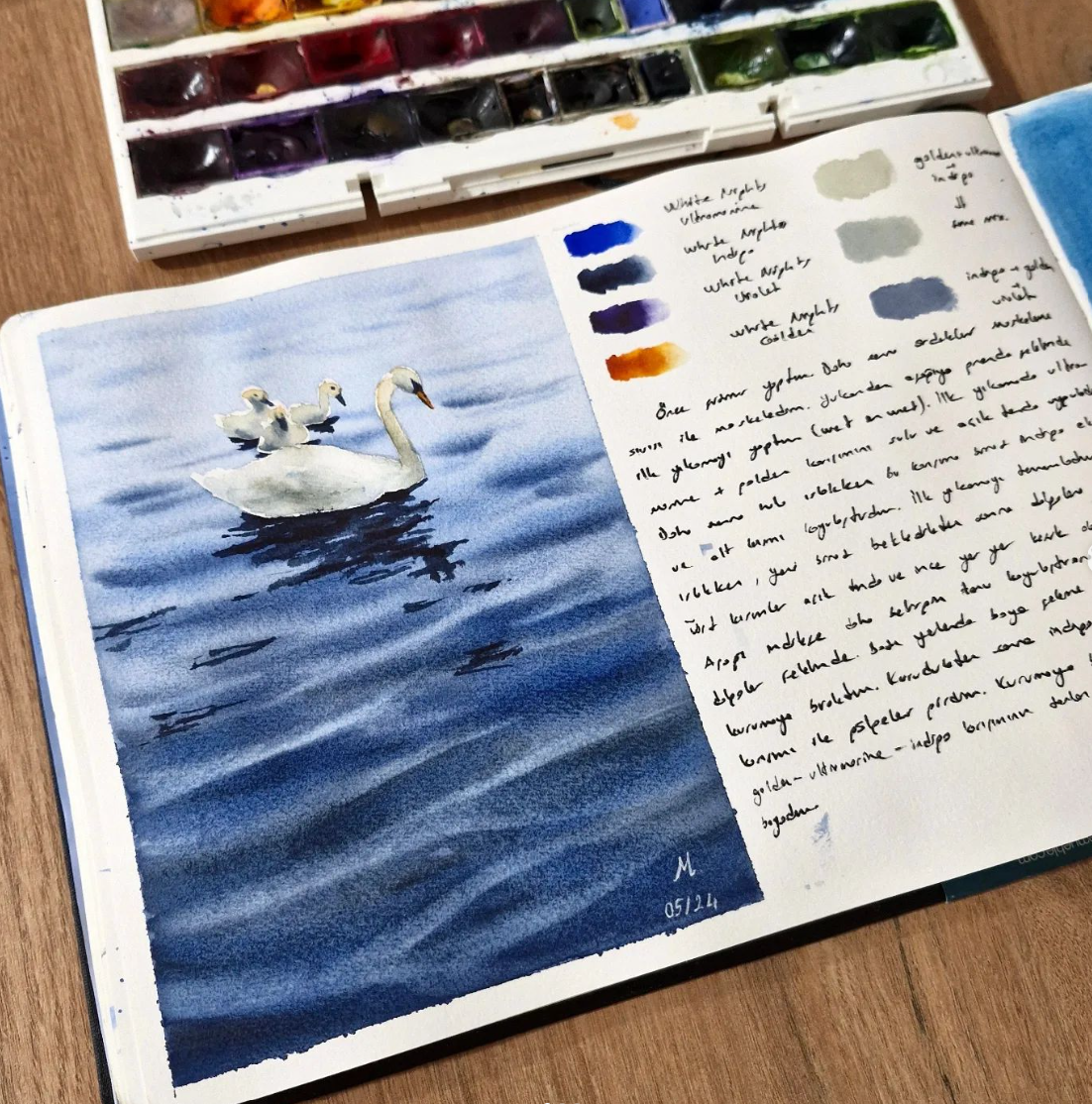 Swan Lake - image 1 - student project