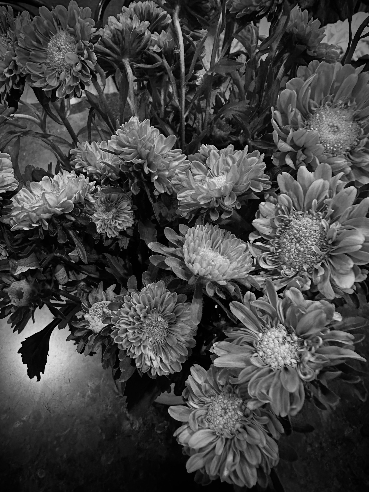 Three shots - image 1 - student project