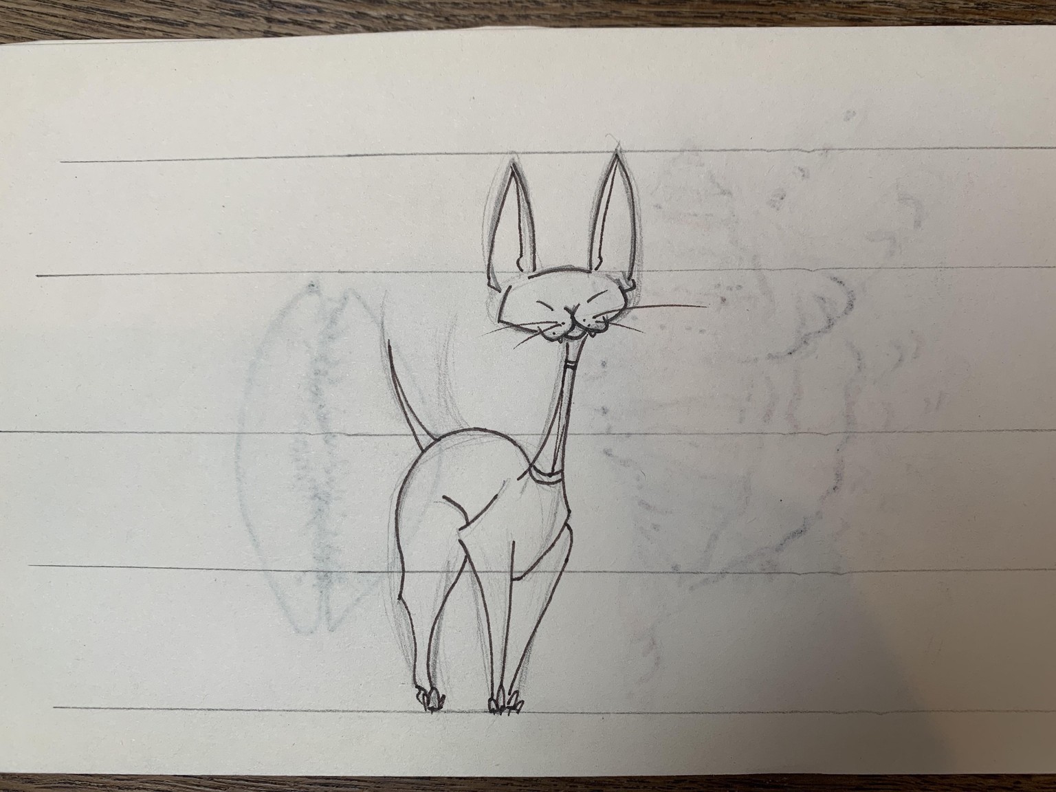 Sphynx cat study - image 1 - student project