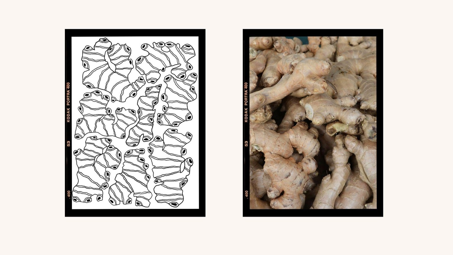 10 Days of Food Inspired Patterns - image 2 - student project