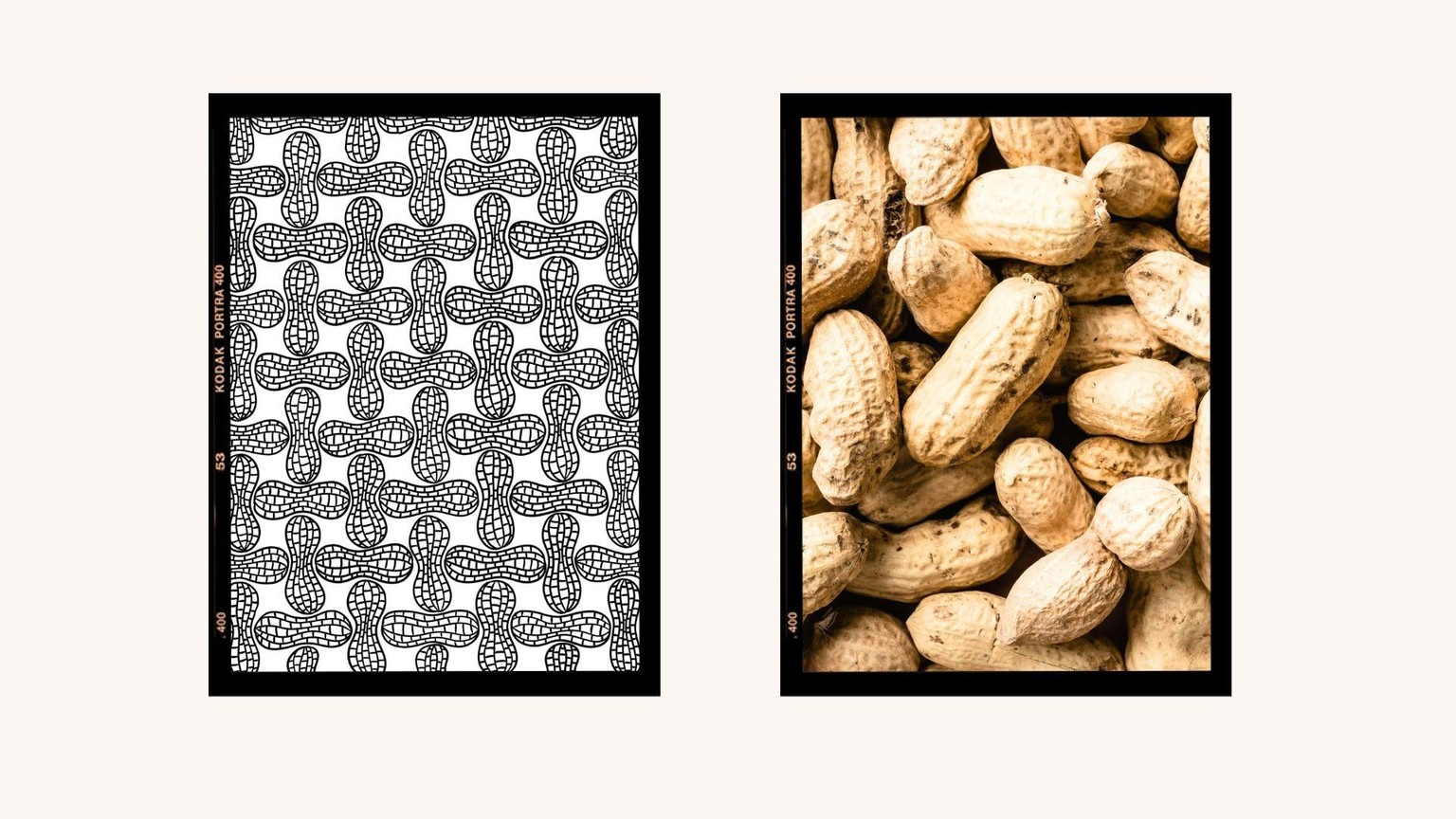 10 Days of Food Inspired Patterns - image 6 - student project