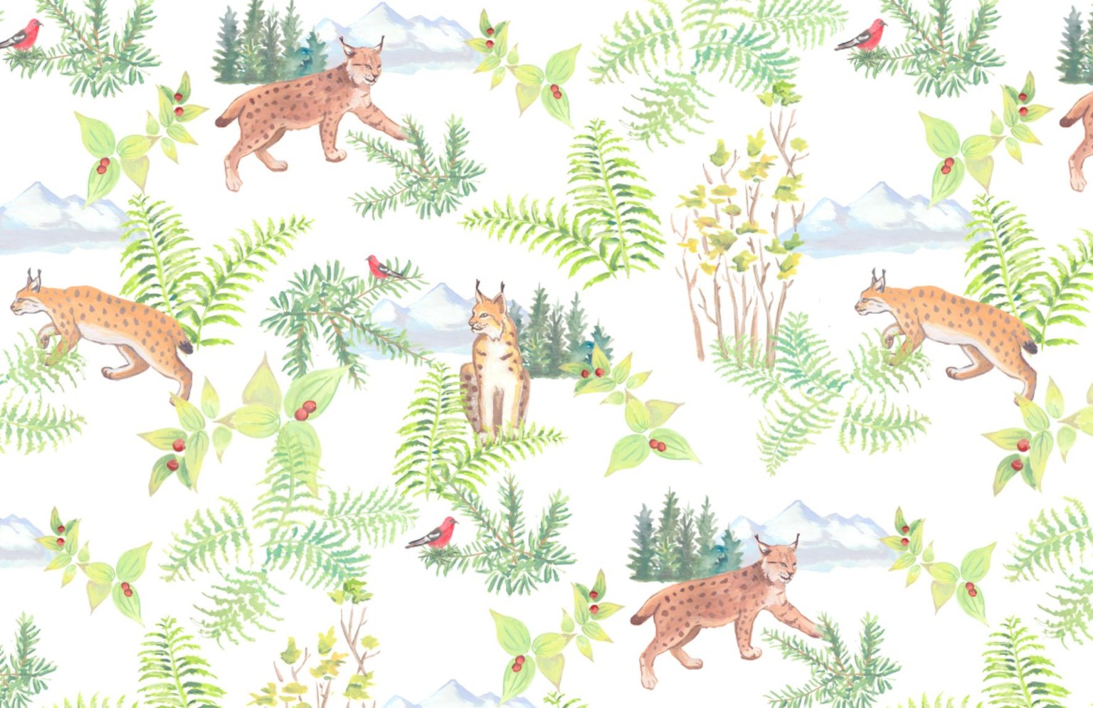 Lynx in the boreal forest - image 1 - student project