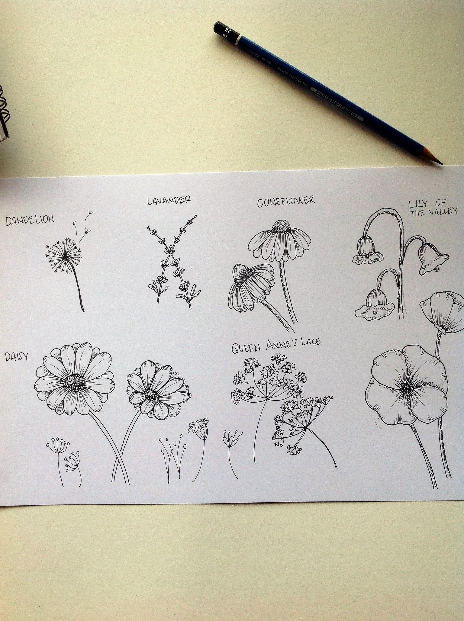 inked Wild Flowers - image 1 - student project