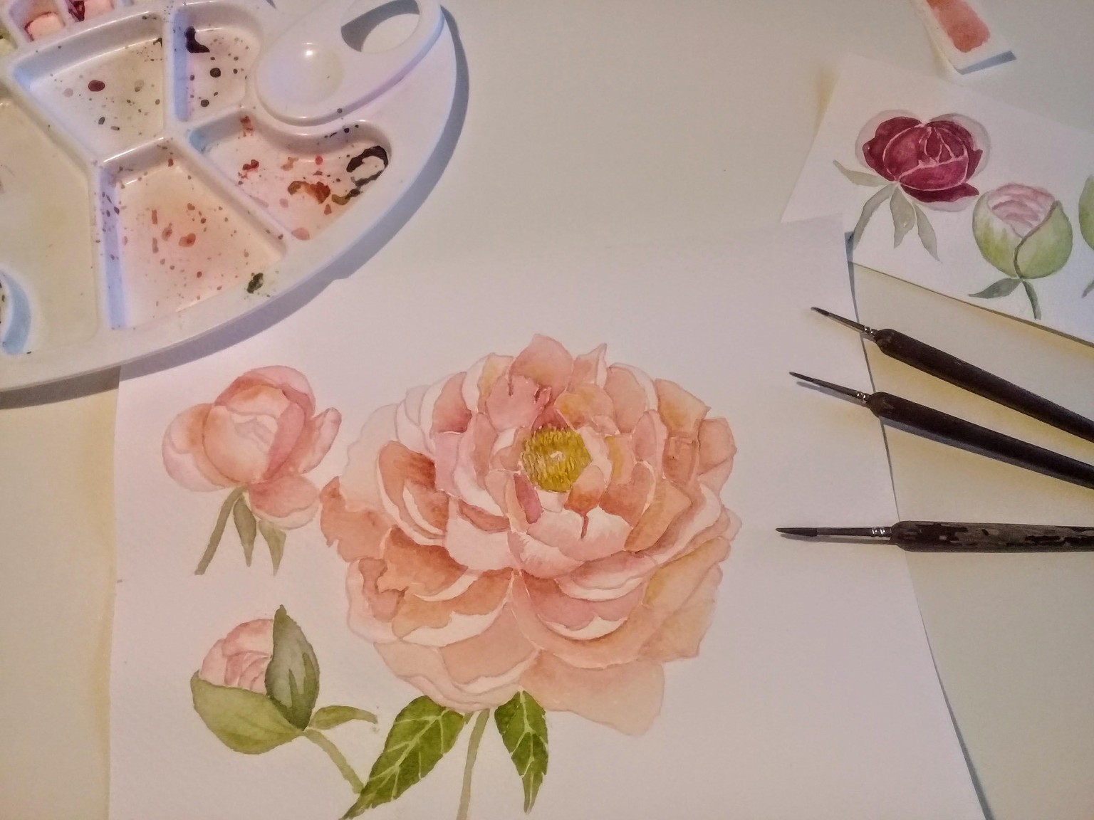 My pretty peonies - image 4 - student project