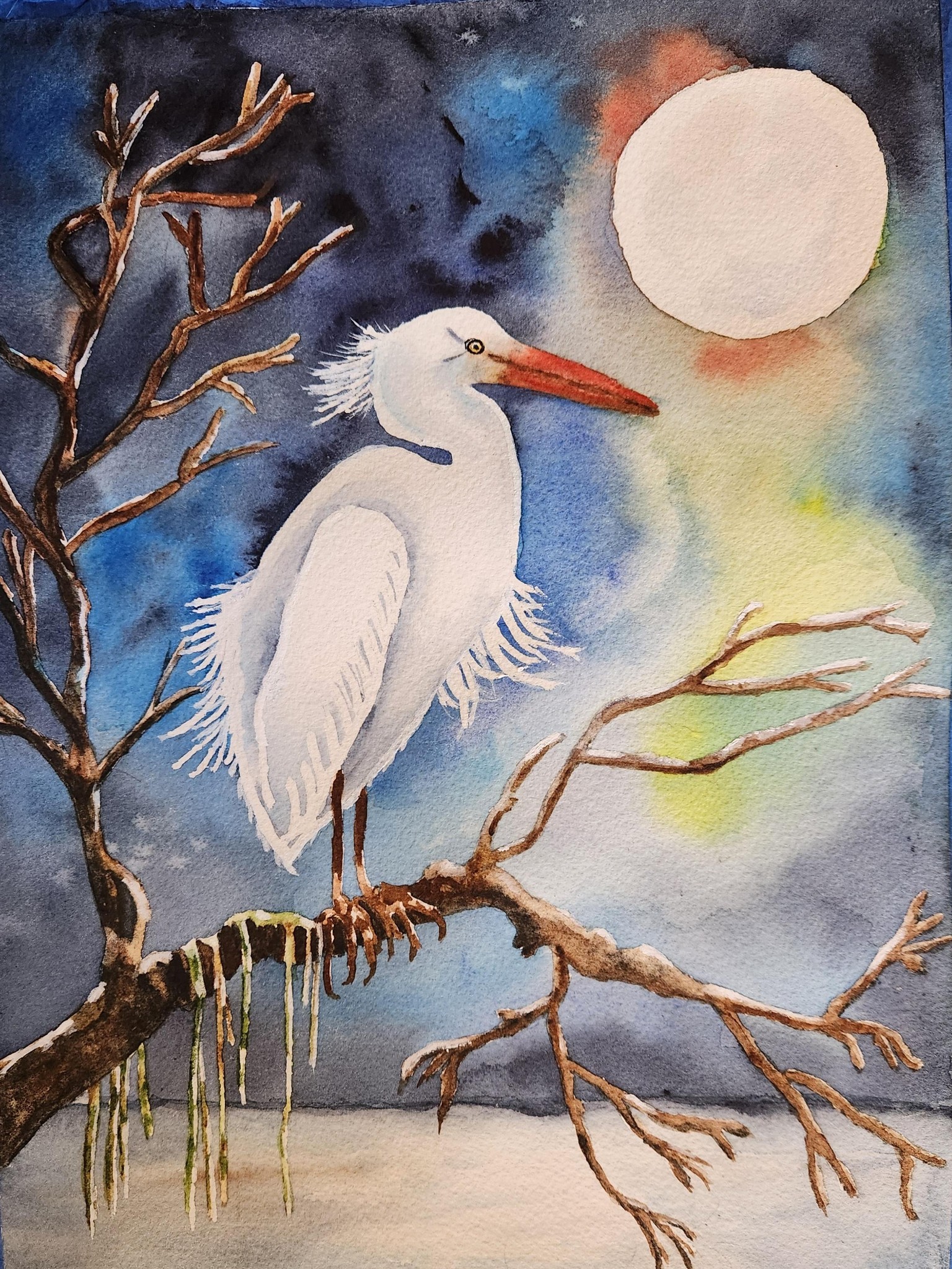 Heron in the moonlight - image 1 - student project