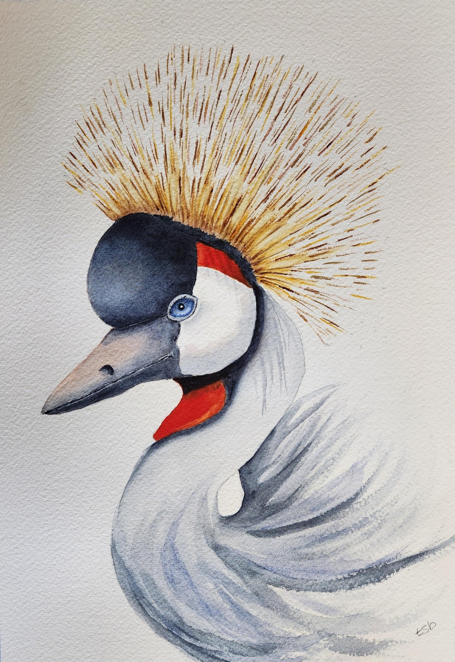 Mister Crane - image 1 - student project