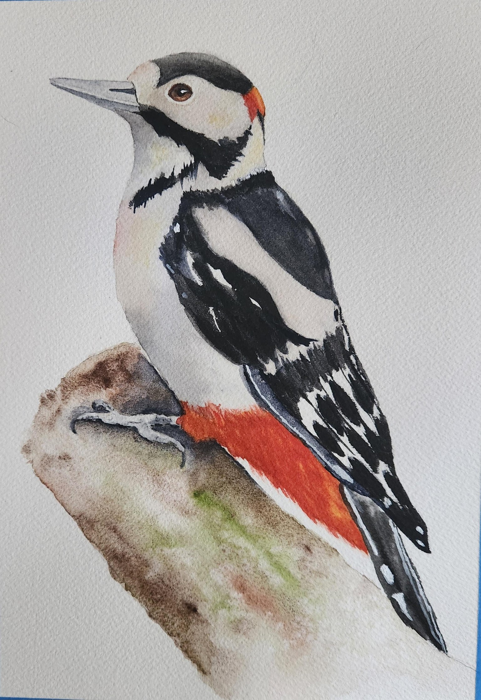 Woody Woodpecker - image 1 - student project
