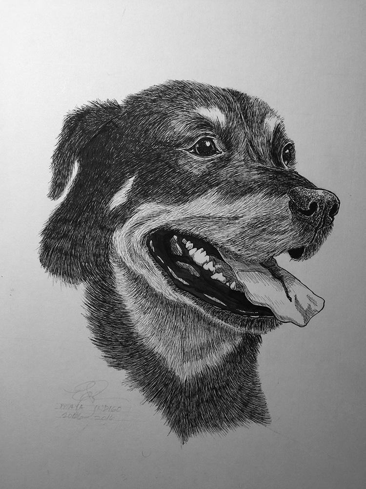 Back on the Drawing Board - image 8 - student project