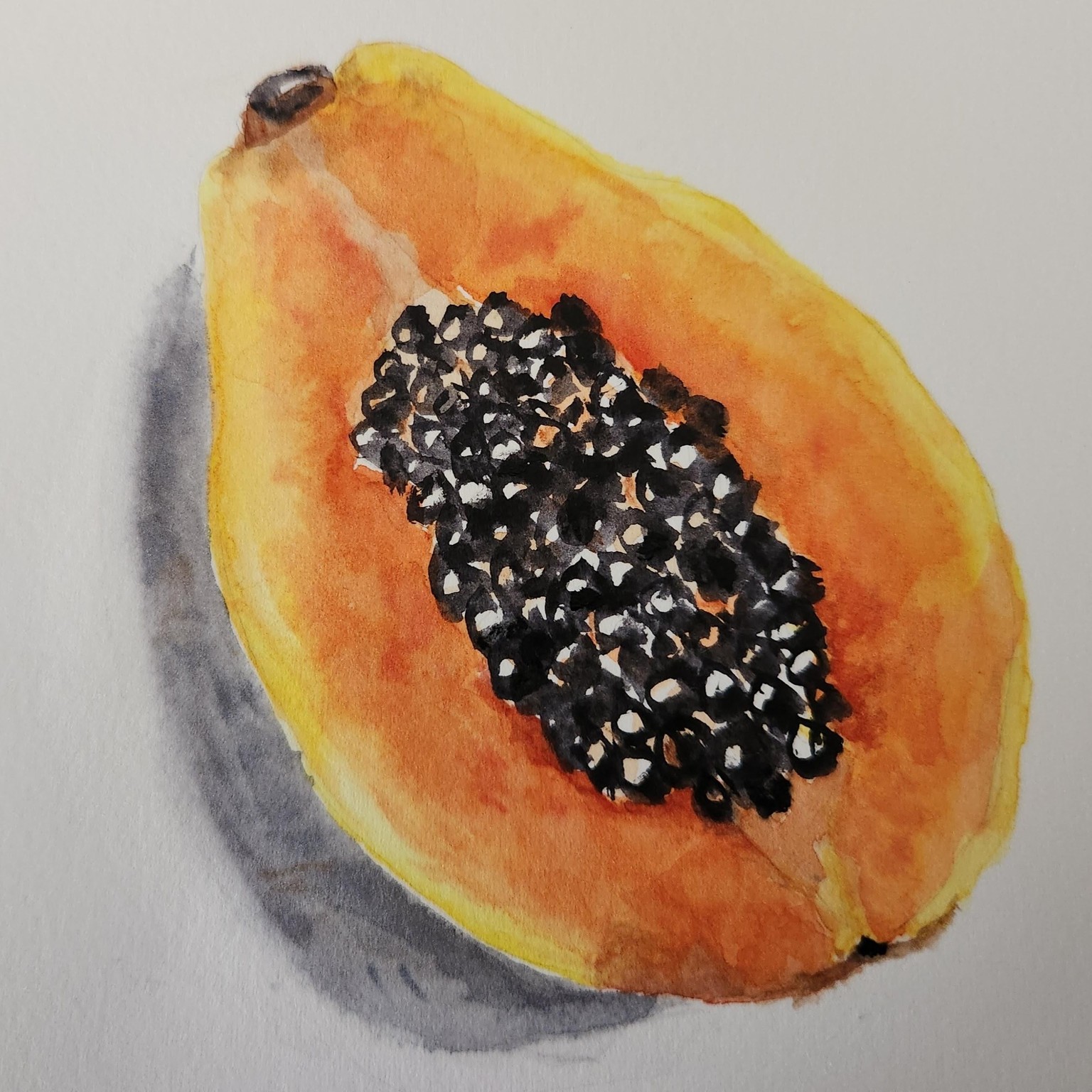 Papaya - image 1 - student project