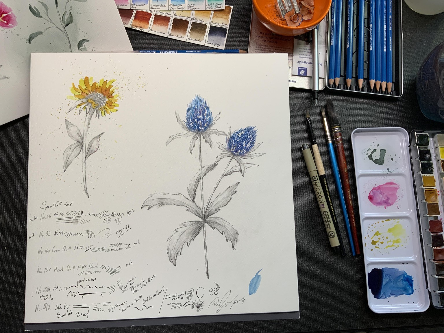Watercolor and graphite practice - image 1 - student project