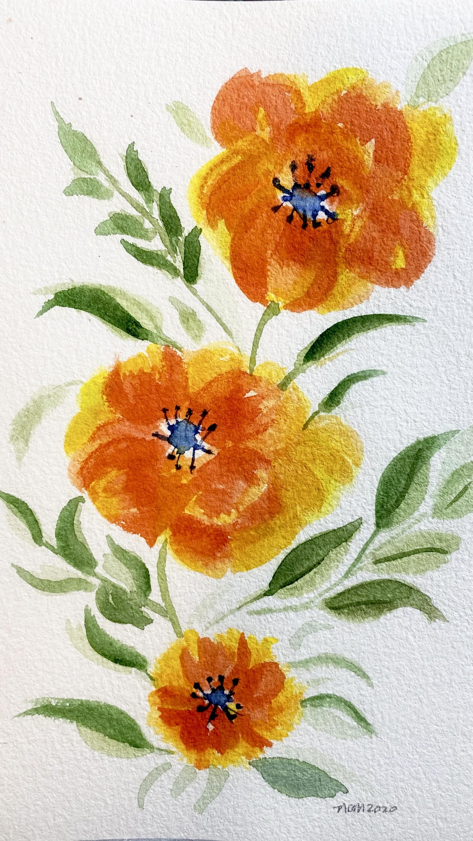 INCredible Poppies, Buckthorn, Squirrel - image 2 - student project