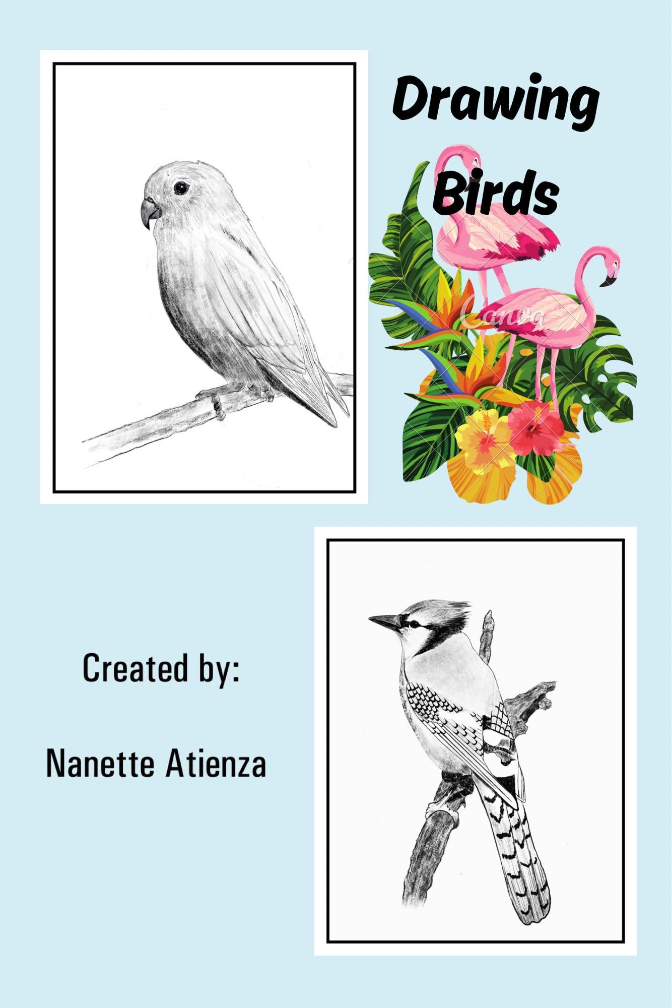 Drawing birds in Procreate (2 birds) - image 1 - student project